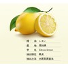 Aroma, Summer Sunny, 0.2 fl oz (5 ml), Mixed Essential