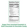RUSSELL STOVER Sugar Free Assorted Caramels in Chocolate Candy, 15.3