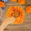 Whole Marigold 1.2oz. Whole Flower Marigold Flower No Caffeine