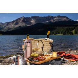 Vinglacé Wine Bottle Chiller Gift Set- Portable Stainless Steel Wine Cooler with 2 Stemless Wine Glasses, Rose Gold