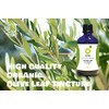 Organic Herbal Remedies 100ml Olive Leaf Tincture