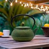 900ml Cast Iron Tea Kettle,SECHUDO Teapot Coated with Enameled Interior