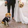 Dog Formal Outfit Wedding Tux with Bowtie Dog Tuxedo Dog