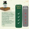 ORGANIC SPREE Hadjod 120 Tablets – USDA Organic Cissus Quadrangularis