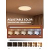 2 Pack 12 Inch Smart Ceiling Light Fixture, RGB LED
