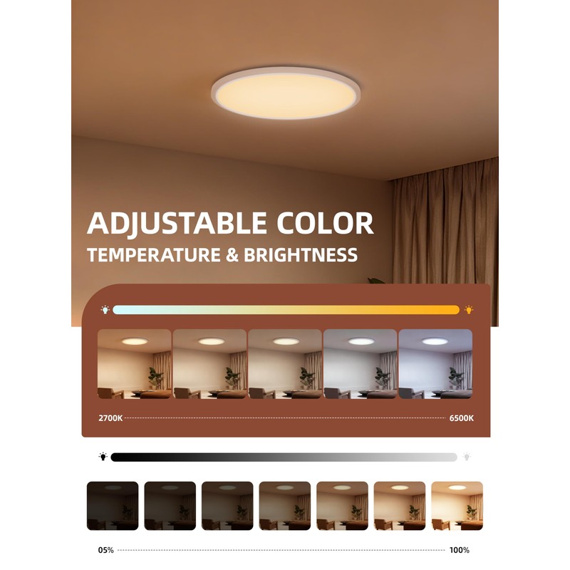 2 Pack 12 Inch Smart Ceiling Light Fixture, RGB LED