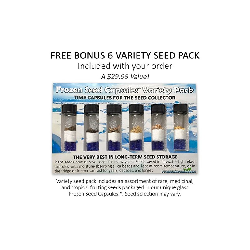 Palm Beach Medicinal Herbs - Henbane (Hyoscyamus Niger) - Packet