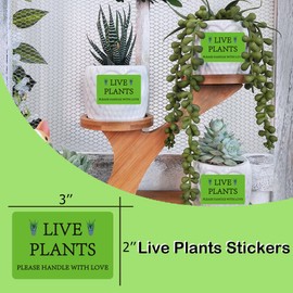 Live Plants Stickers 2x3 inch Please Handle with Love Stickers for Shipping Warehouse Pallet 300 pcs per roll