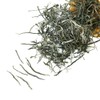 GOARTEA Green Tea 250g / 8.8oz Premium Spring Xinyang Maojian