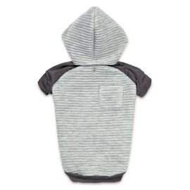 Zack & Zoey Elements Textured Stretch Hoodie for Dogs, Large