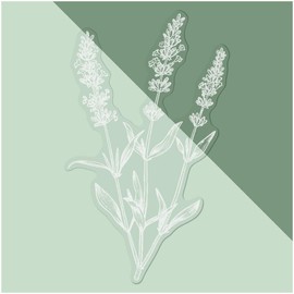 Medium 210mm 'Simple Lavender Plant' Clear Static Window Cling Sticker/Decal (White) (WC00112969)