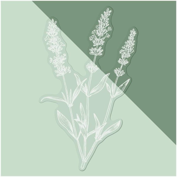 Medium 210mm 'Simple Lavender Plant' Clear Static Window Cling Sticker/Decal