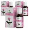 Destech Turkish Rose Oil Face Rose Oil, 20ml, 3 pieces / 데스텍 터키장미오일 페이스 로즈오일, 20ml, 3개