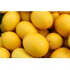 Does Not Apply Canary Melon Seeds Cucumis melo Non-GMO, Shipped