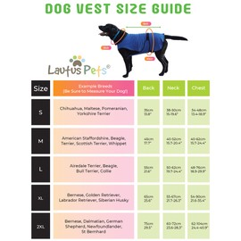 Lautus Pets XL Dog Cooling Vest - Easy On/Off Cooling Dog Coat with Double Velcro & Zip Neck, Lightweight & Portable Cooling Jacket for Dogs, Perfect for Dog Owners, Walkers, Sitters & Pet Carers