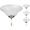 Progress Lighting 2-Light Ceiling Fan Light, Trinity Collection, Indoor, P2628-01WB,