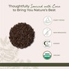 Starwest Botanicals Starwest Botanicals Organic Decorticated Cardamom Seeds, 1 Pound