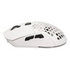 Wireless Mouse 2.4G Or BT5.1 Adjustable DPI Hollowed Out RGB