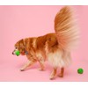 Hartz DuraPlay Bone Squeaky Latex Dog Toy, Large, 3 Pack