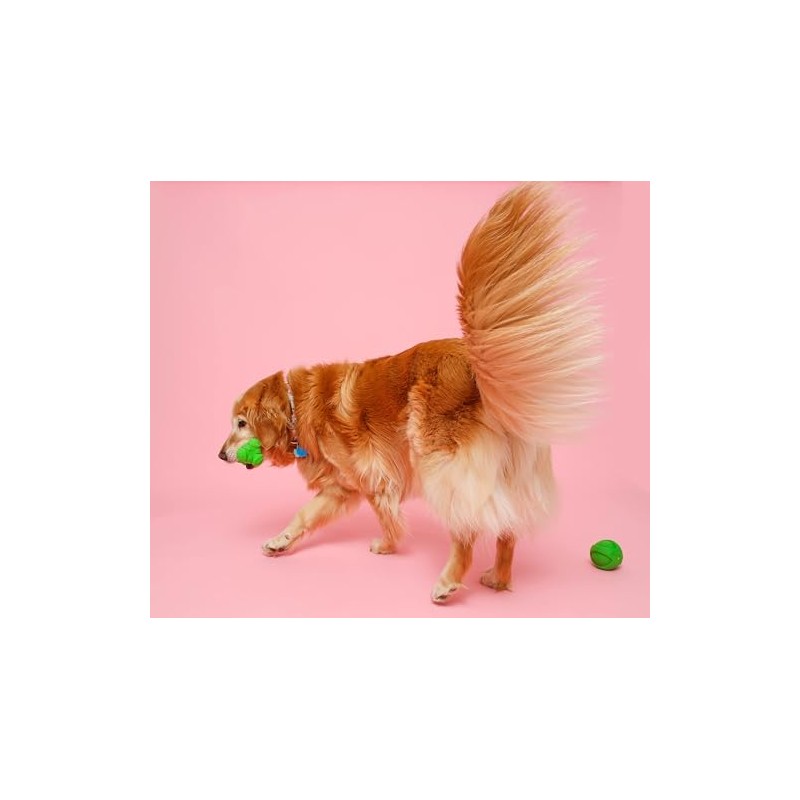 Hartz DuraPlay Bone Squeaky Latex Dog Toy, Large, 3 Pack