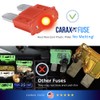 CARAX Glow Fuse – Premium Fuse Micro 2 Blade APT/ATR