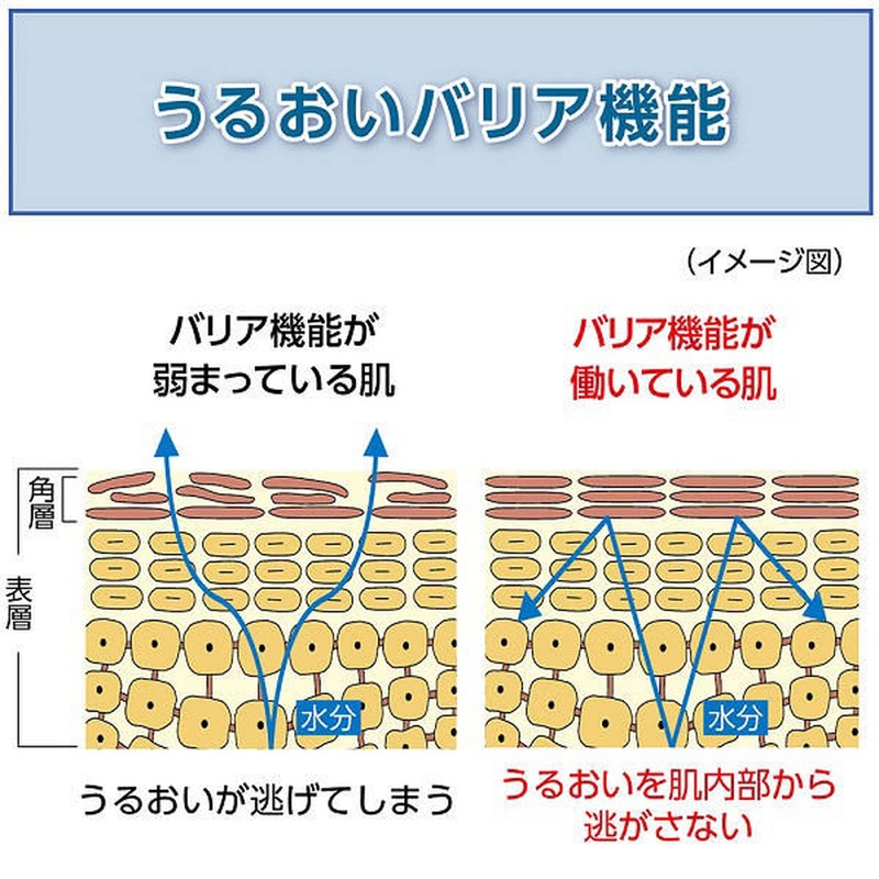 [Bulk Purchase] uno Skin Serum Water x 2 + Bonus