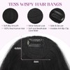 Bangs Hair Clip Human Hair,TESS Clip on Bangs 100% Human