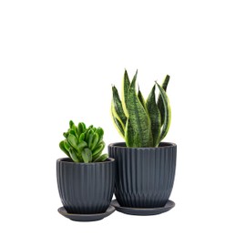 Set of 2 Stoneware Planter Pot, Ceramic Pot with Drainage Hole and Saucers, 4 Inch & 6 Inch, Charcoal Grey