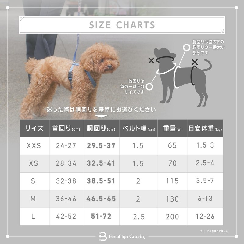 【Veterinarian Recommended】BowNya Cauda, Dog Harness for Tracheal Collapse, Active Harness,