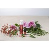 Roses De Bio ro-zudobio ro-zuoburo-zu 5ml