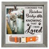FINGERINSPIRE Pet Memorial Picture Frame 9x9inch I Crossed The Rainbow