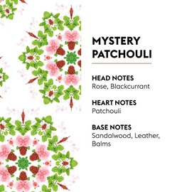Mystery Patchouli | Lampe Berger Fragrance Refill by Maison Berger | for Home Fragrance Oil Diffuser | Purifying and perfuming Your Home | 16.9 Fluid Ounces - 500 milliliters | Made in France