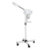 Segawe Professional Spa Beauty Equipment Facial Steamer Skin Care Ozone