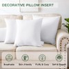 OTOSTAR Throw Pillow Insert, 18 x 18 Square Cushion Inner