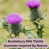 Bucklebury Milk Thistle Gummies 1000mg, Sugar Free Blueberry Flavor, Vegan,