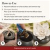 Airomé White Succulent, Porcelain Passive Essential Oil Diffuser (with 15ml