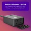 Roku Smart Home Outdoor Smart Plug - WiFi Smart Plugs