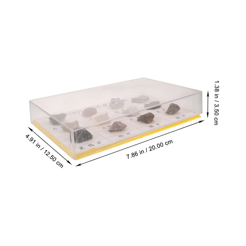 BUGUUYO 12pcs Portable Mineral Rock Specimen for Geology Education Lightweight