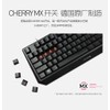 CHERRY MX Keyboard 1.0 TKL