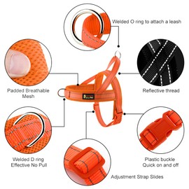 Plutus Pet No Pull Dog Harness with Breathable Mesh Padded, Adjustable Reflective Escape Proof Dog Harness, Quick Fit Dog Vest Harness for Small Medium Large Dogs(XXS, Orange)