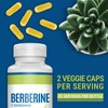 Herbal Supplements 1000mg, 60 HCL Vegan Capsules, High Absorption Herbal