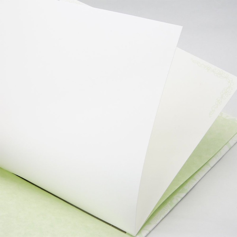 Gakken Stayful Shikishi, Adult Shikishi, Green D18006