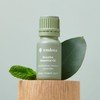 endota Live Well Breathe Essential Oil 10 ml, a pure