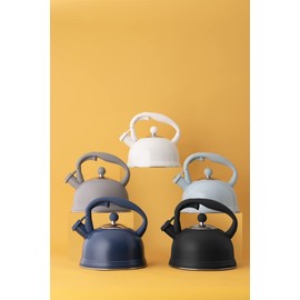 Typhoon Otto Collection | Stovetop Kettle - Cream