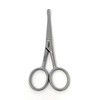Solingen Nose & Ear Scissors - Stainless Steel Rounded Tip