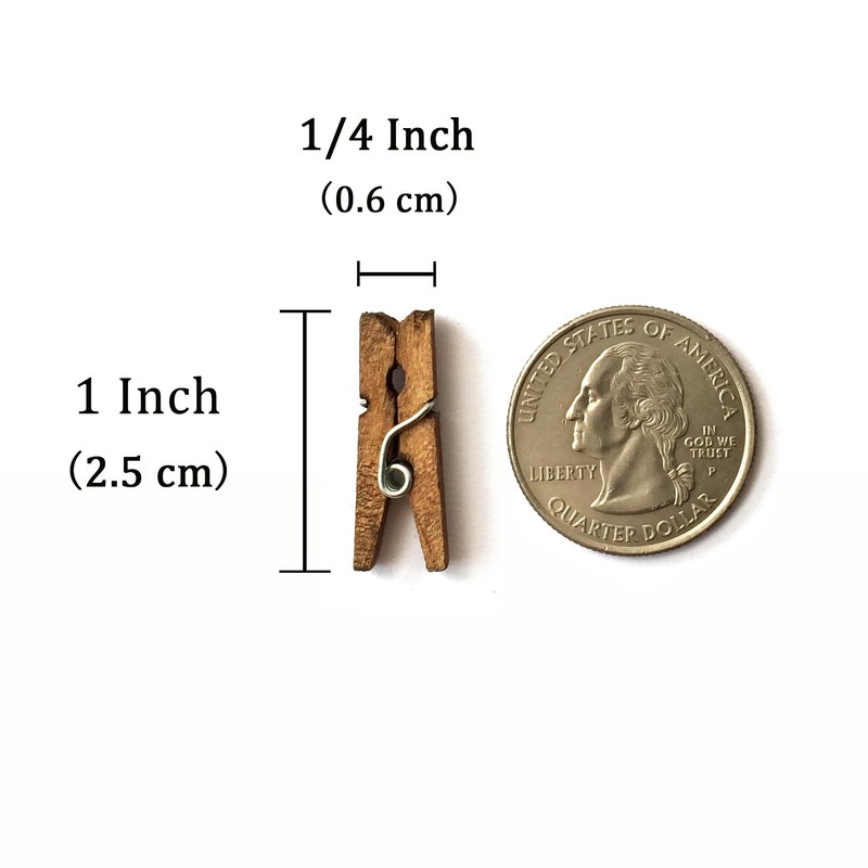 LWR CRAFTS Wooden Mini Clothespins 100 Per Pack 1" 2.5cm