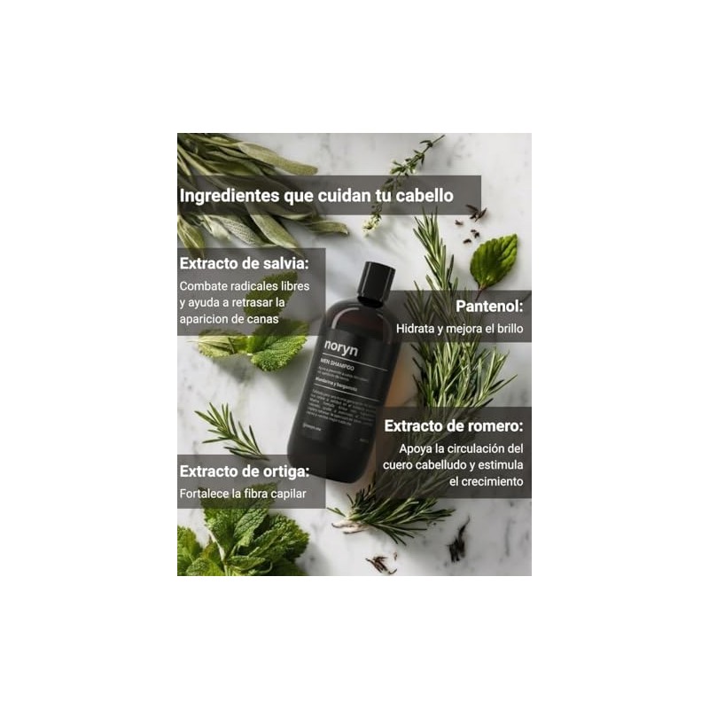 noryn Shampoo para Hombres 480 ml Fórmula Natural, Prevención de