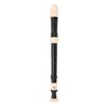 8 Hole Recorder Detachable Soprano Recorder Musical Instrument with Cleaning