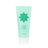 THE FACE SHOP Herb Day 365 Master Blending Foaming Cleanser