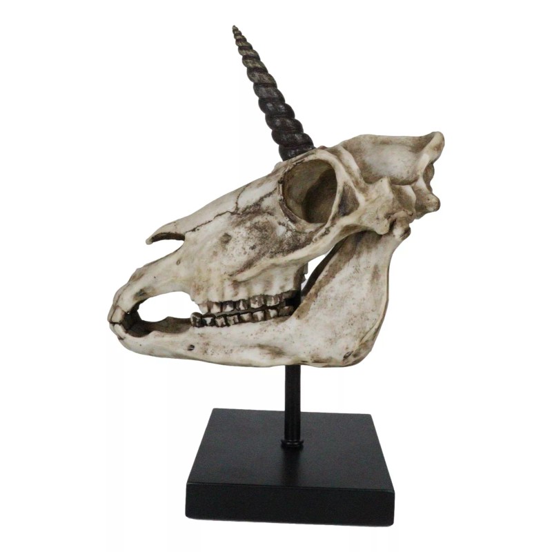 Rare Fossil Unicorn Skull With Sacred Horn Skull Figurine On